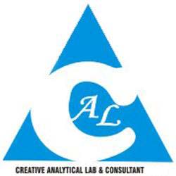 Creative Analytical Lab & Consultant logo